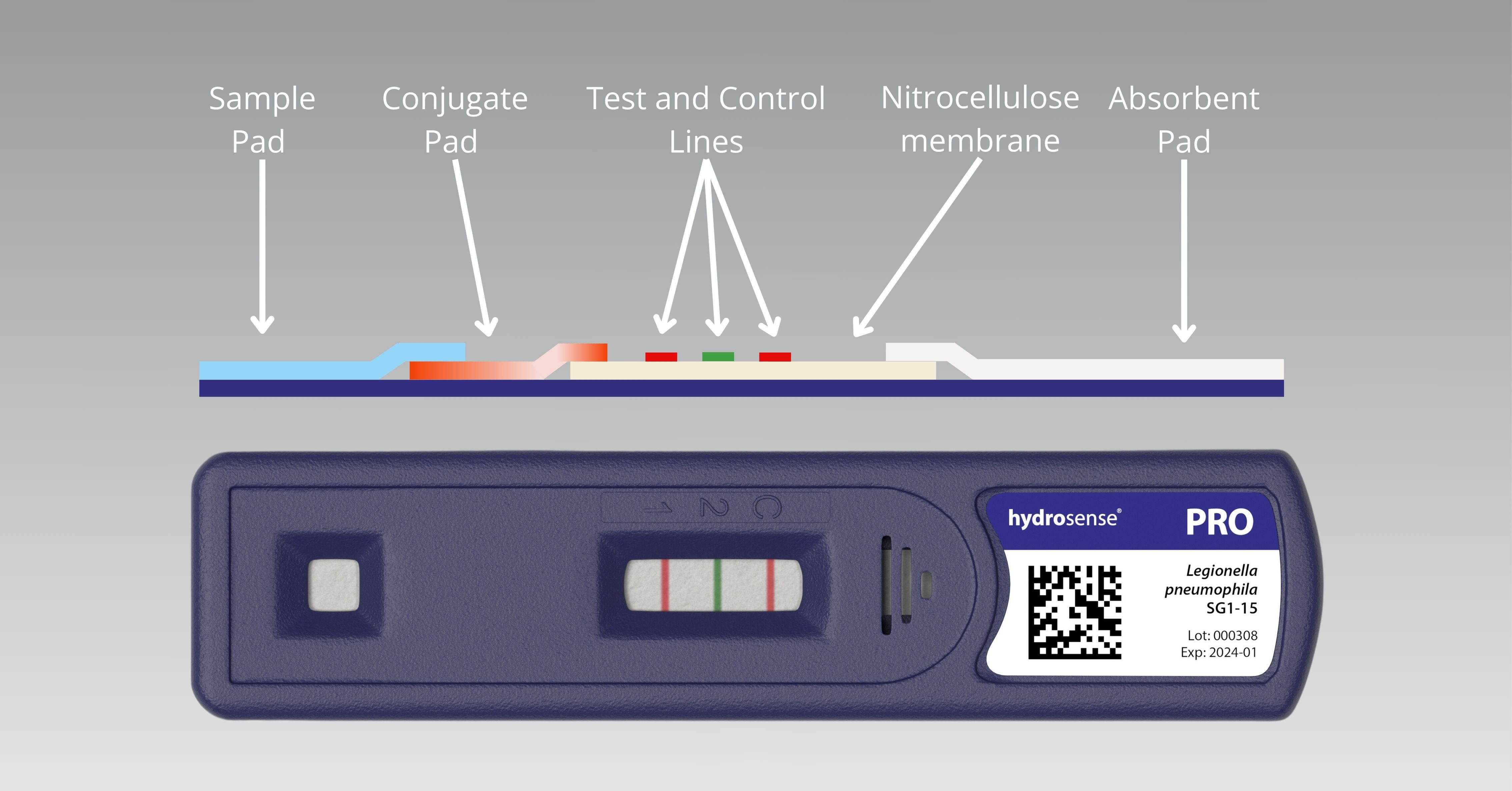 Behind Hydrosense PRO: Making Legionella Testing See More