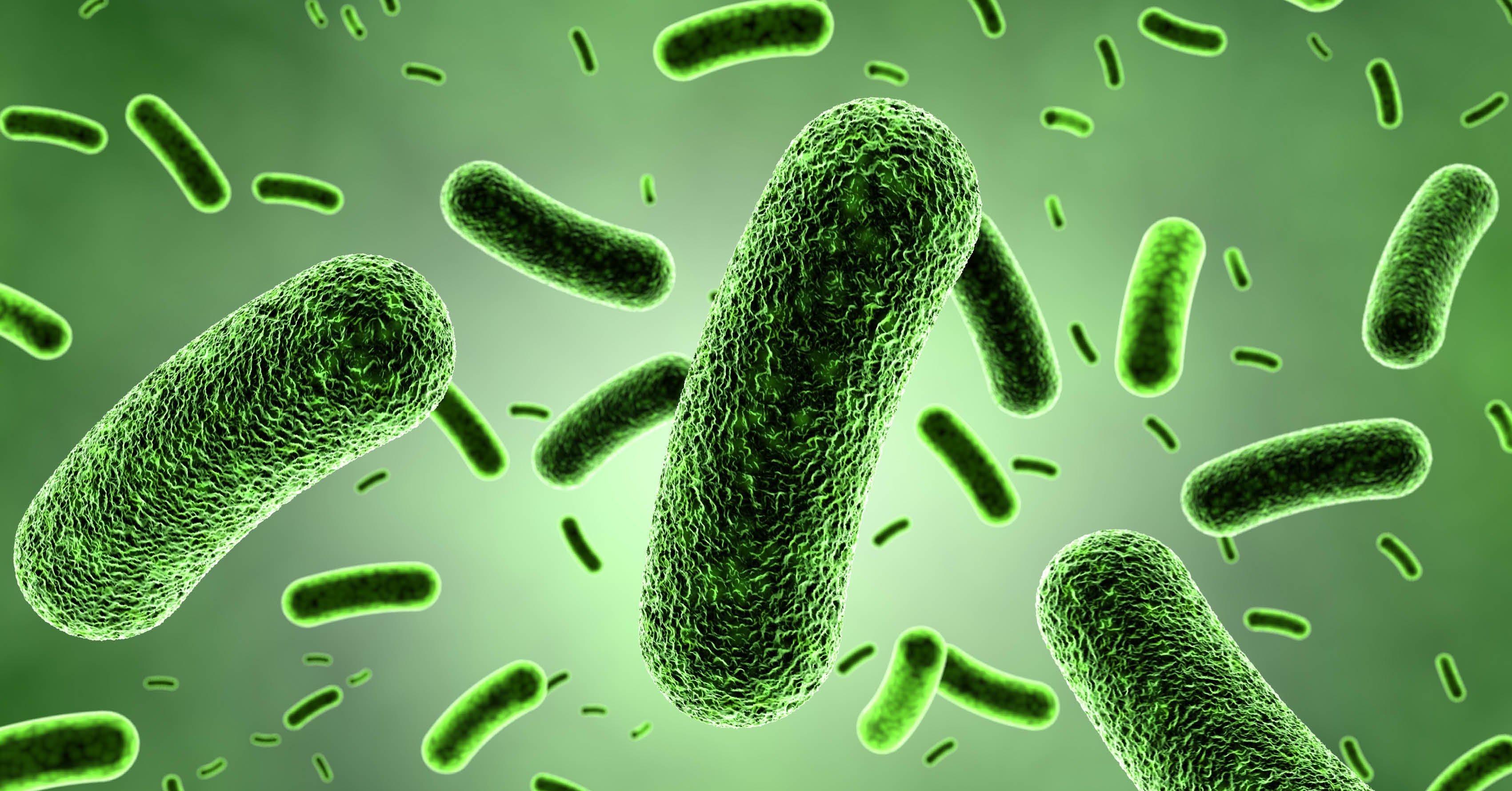 The Cost Of Legionnaires' Disease