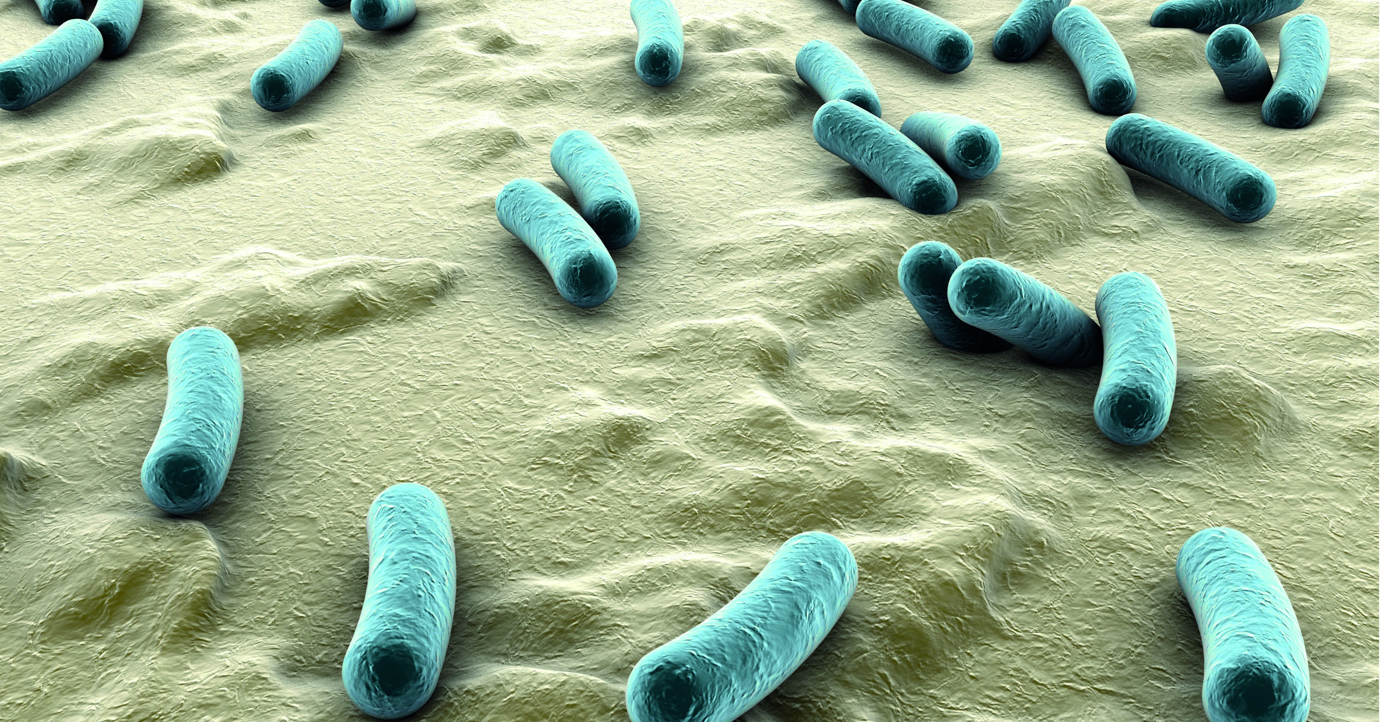 What You Need To Know About Legionella In Biofilm what-you-need-to-know-about-legionella-in-biofilm