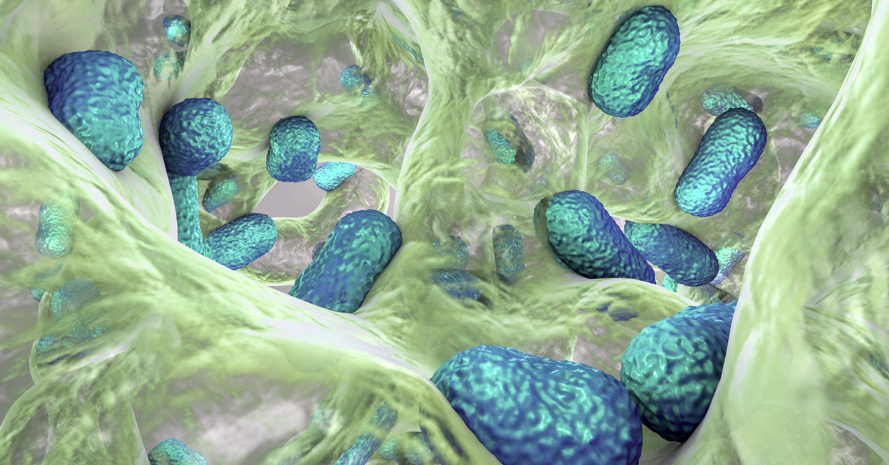 Legionella_Testing_Biofilm_2