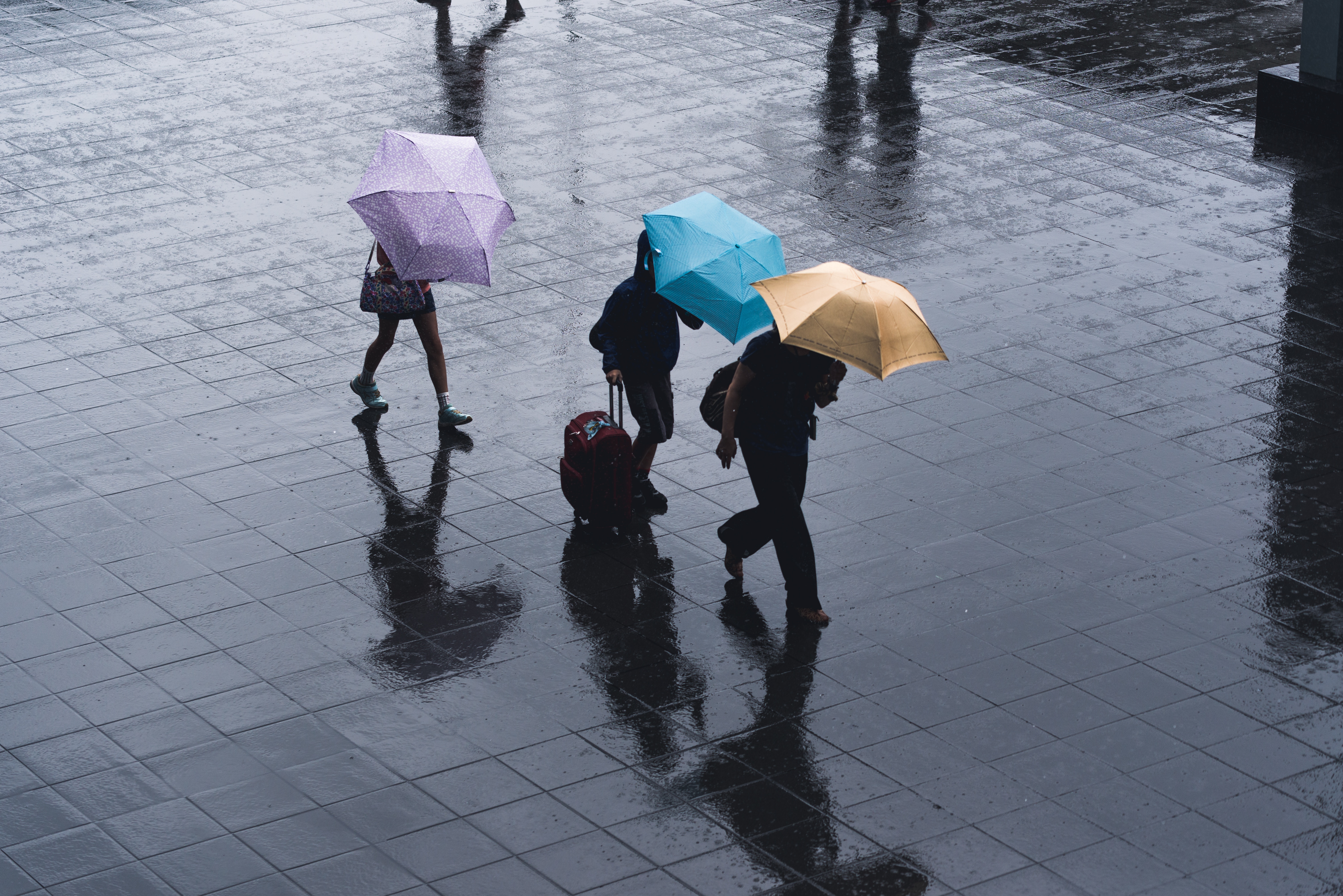 Rainfall Legionnaires Disease